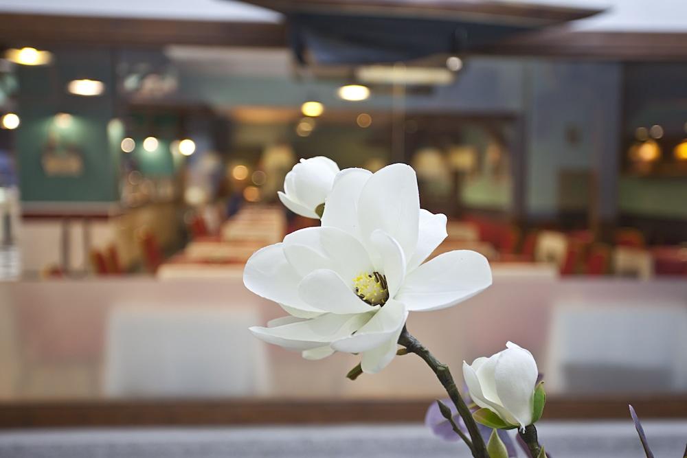 Hotel Ilunion Les Corts Barcelona